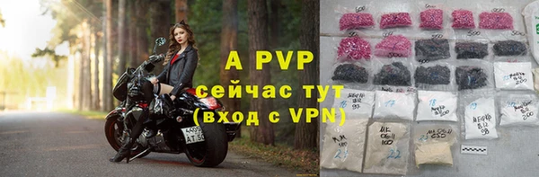 экстази Губаха