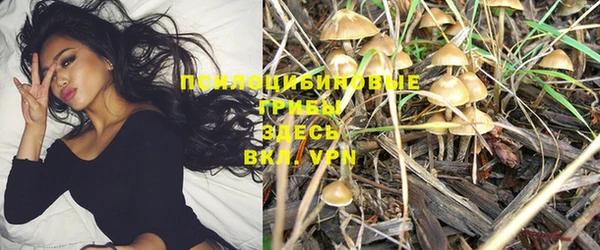 бутик Няндома
