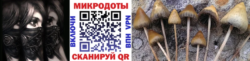 ссылка на мегу маркетплейс  как найти   Самара  Псилоцибиновые грибы ЛСД 