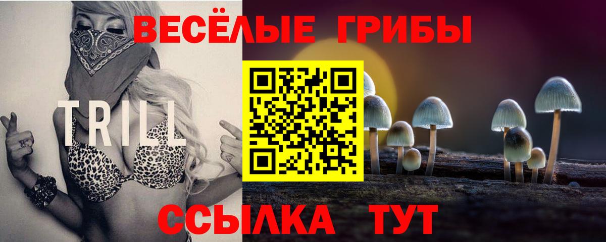 Псилоцибиновые грибы прущие грибы  Вход с VPN  Самара  наркотики  Галлюциногенные грибы Cubensis 